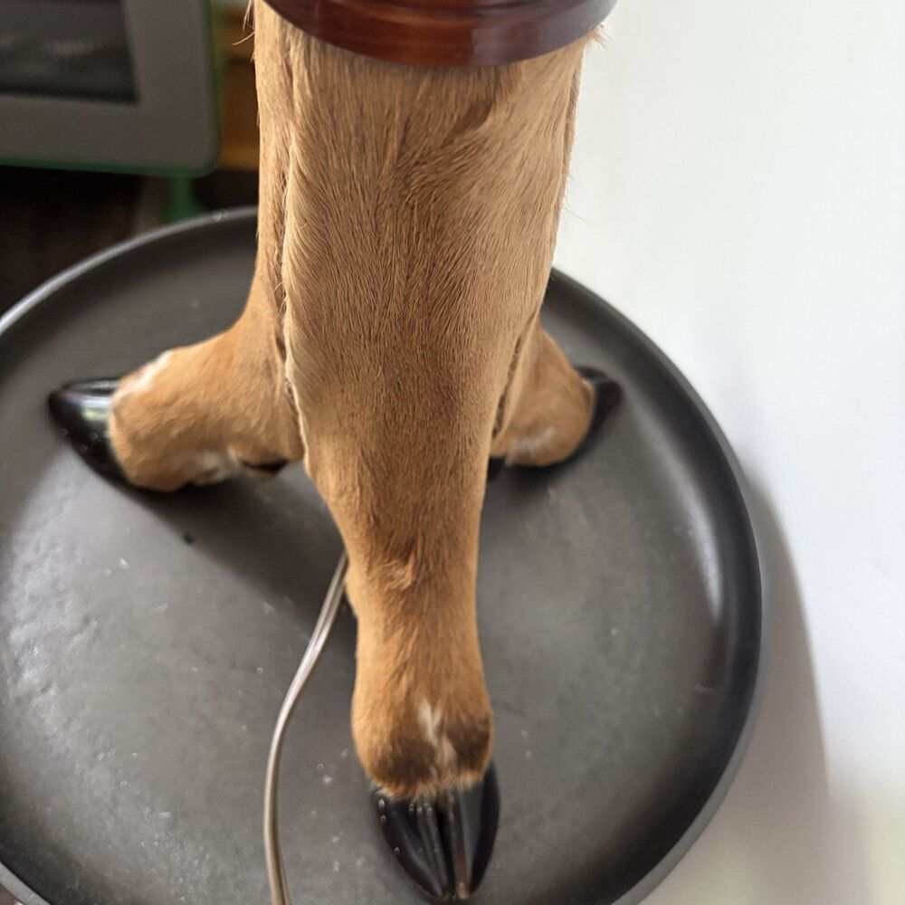 Vintage Taxidermy Deer Hoof Lamp 3 Leg Tripod Base Rustic Cabin Lodge Decor Work - Picture 7 of 13